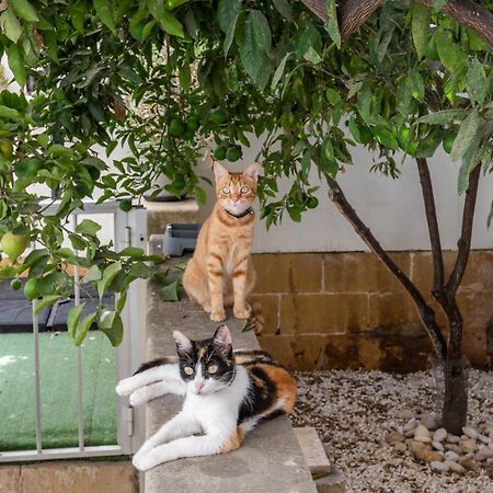 Close To Airport, Double Bedroom, Sofa-Bed, Private Bathroom For Adults And Children Aged 10 And Over Only Gudja Dış mekan fotoğraf